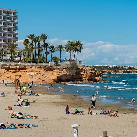 Mayor Zenia * Orihuela